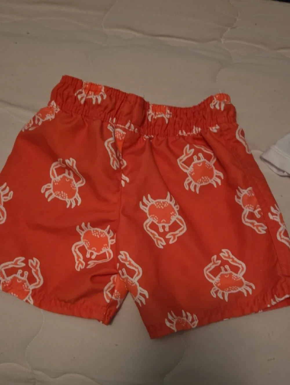 Cat & Jack White Rash Guard with Orange Crab & Blue Wave Swim Shorts Set